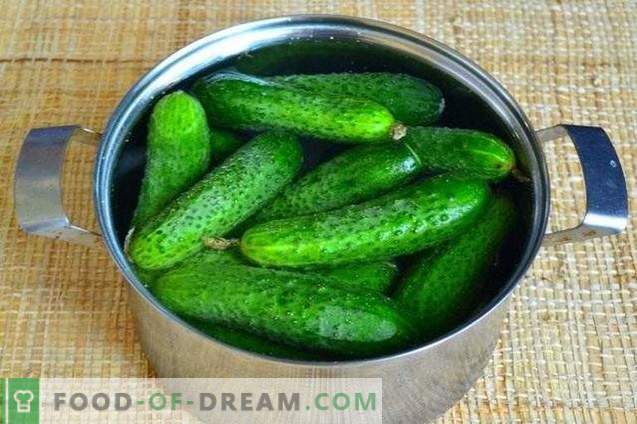 Salted cucumbers with tarragon