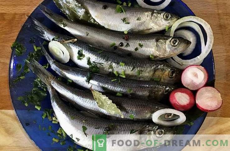 How to pickle herring in different ways