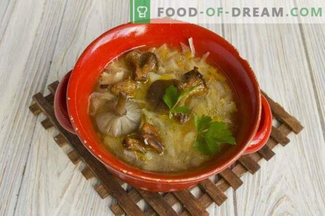 Mushroom cabbage soup with cabbage
