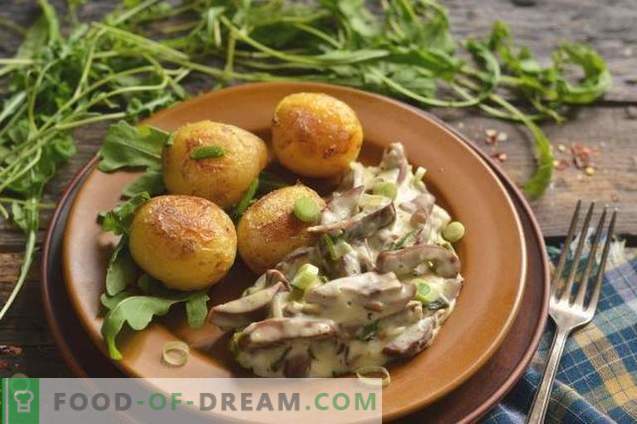 Pork kidneys in sour cream with onions and potatoes