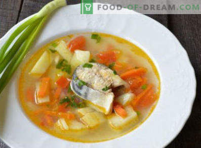 Zuppa di sgombro fresco congelato, ricette con foto. Come cucinare la zuppa di sgombro