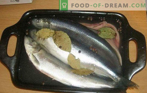 How to salt herring at home is tasty and fast, in marinade and dry salting