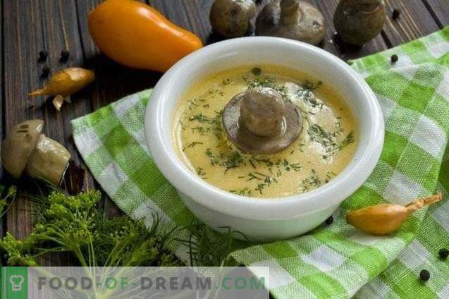 Mushroom cream soup with cream and zucchini