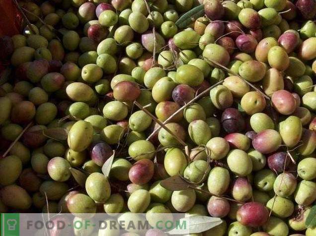 Olives or olives - what is the difference and benefit?