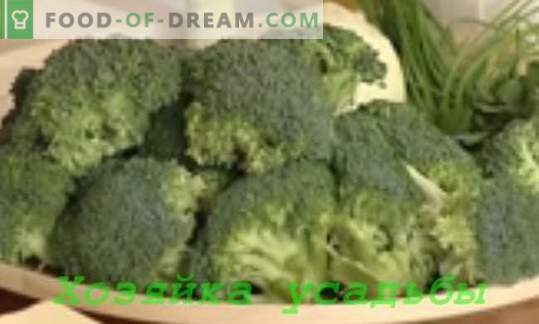 Brokolio kopūstų patiekalai