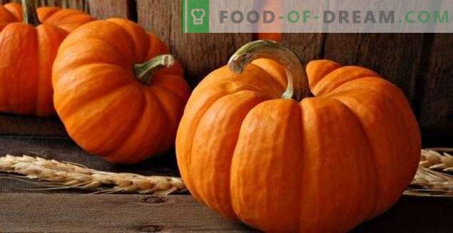 Pumpkin: tasty, useful and beautiful!
