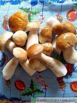 Marinated white mushrooms with cinnamon