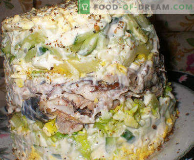 Salad from boiled fish - recipes for weekdays and holidays