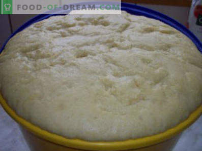 Dough for pies with sour milk, yeast, for fried and baked pies
