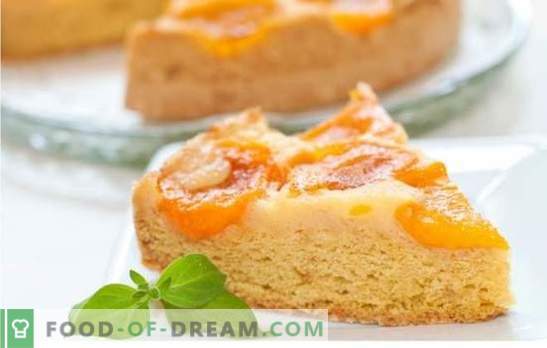 Charlotte with apricots: recipes for summer cake! Variants of amazing charlotte with apricots, recipes, photos and secrets of hostesses