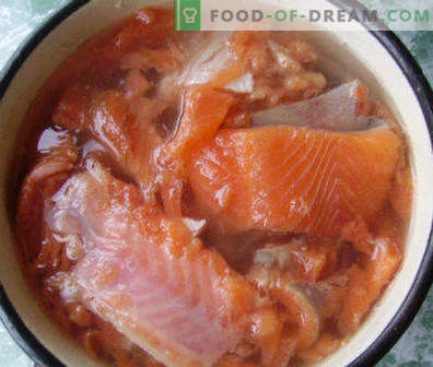 How to pickle pink salmon at home is tasty and fast, in various ways
