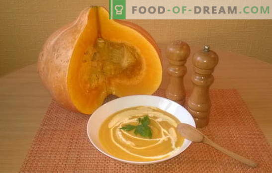 Recipes for cooking pumpkin soup with cream. Choose your favorite creamy pumpkin soup: chicken, spicy, dietary