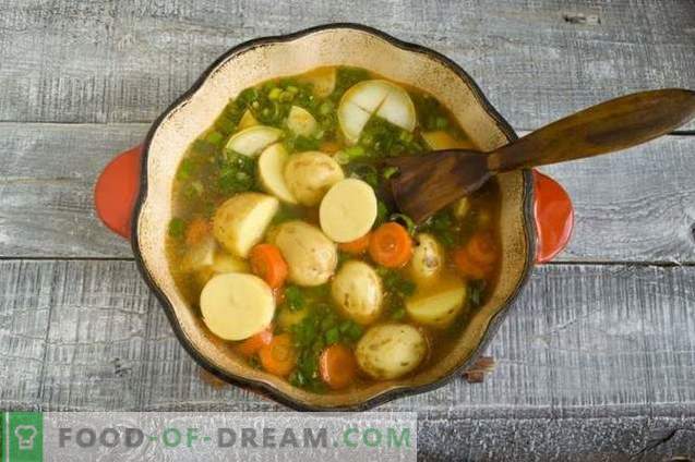 Chicken goulash soup with new potatoes and green onions