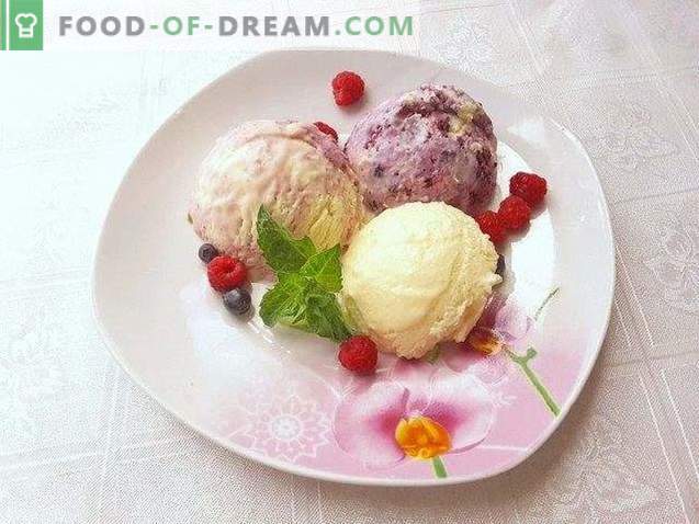 Homemade ice cream. Creamy ice cream with berries