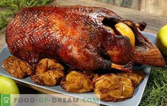 Duck with apples in the oven is a step-by-step recipe for a culinary masterpiece. Duck with apples in the oven: carcass preparation technology