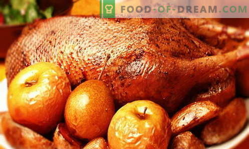 Goose with apples - the best recipes. How to properly and tasty cook a goose with apples.