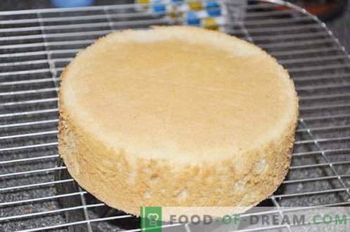 Sponge dough - the best recipes. How to properly and tasty cook biscuit dough.