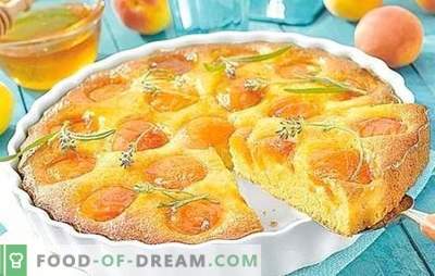 Pie with apricots on kefir - cook bright and tasty. Top 6 best recipes for pies with apricots on yogurt