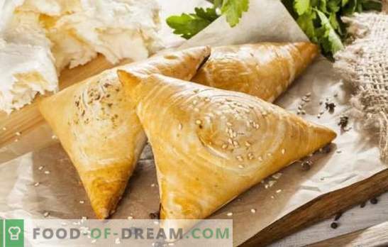 Samsa with cheese and its original versions. A selection of recipes samsa with cheese in combination with other fillers