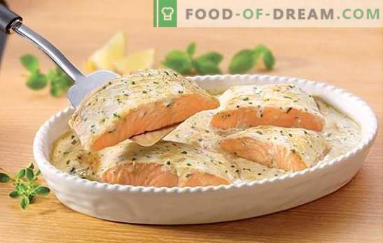 Salmon in cream - the most interesting author's recipes. Secrets of cooking salmon in cream with mushrooms, potatoes, caviar