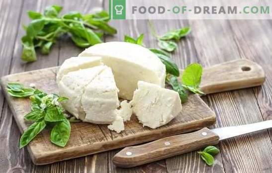 Sour milk cheese is a natural dairy product. Variants of cooking cheese from yogurt at home