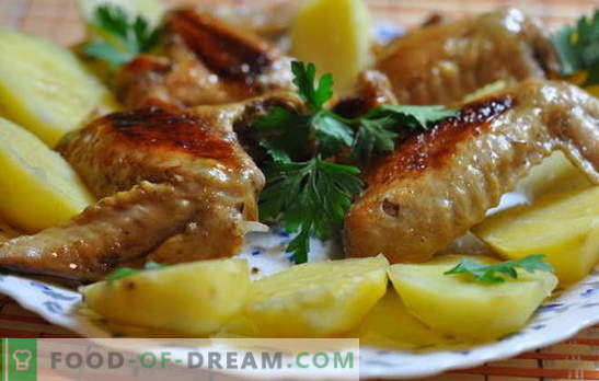 Chicken wings with potatoes in the oven - budget! Recipes for chicken wings with potatoes in the oven: in Italian, in beer, etc.