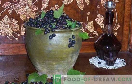 How to make black currant wine? Five recipes for simple homemade blackcurrant wines: young, dessert, liqueur
