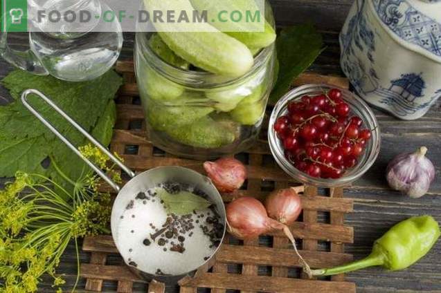 Pickled cucumbers with red currants and onions