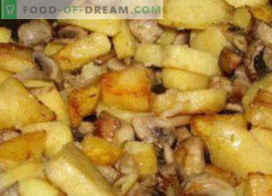 Maslata fried with potatoes, cooking recipes