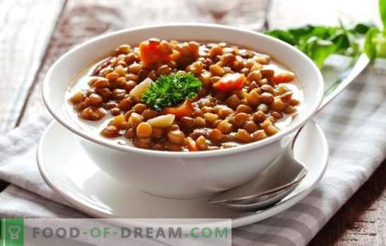 Lentil in a slow cooker - recipes for health! Variants of the first and second courses, the best recipes from lentils for the multicooker