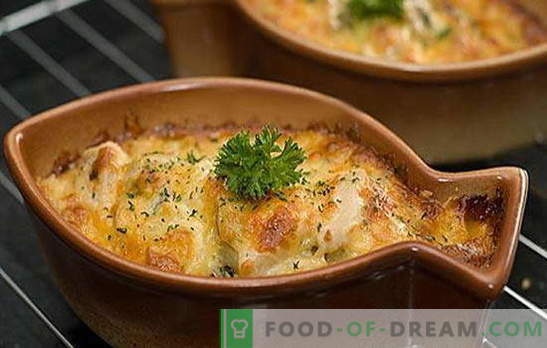 Pike in sour cream is a delicious predator! Interesting pike recipes in sour cream in the oven and in the pan: stuffed with potatoes