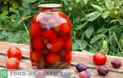 Tomatoes with plums for the winter - we will remember the summer! Recipes and secrets of cooking blanks of tomatoes with plums for the winter