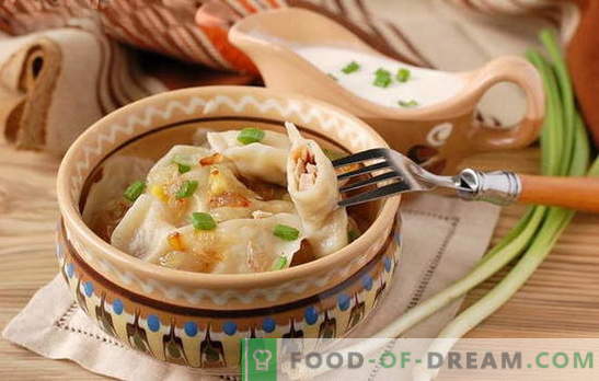 Dumplings with onions - an economical option! Different recipes of dumplings with onions and cottage cheese, potatoes, eggs, mushrooms