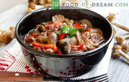 Stew with mushrooms - surprises (battles, conquers, strikes) with aroma! Cooking delicious stews with mushrooms and vegetables, meat, rice, beans