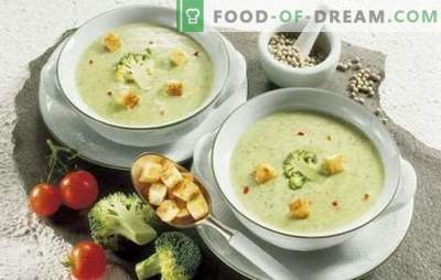 Creamy cream soups: insanely delicious tenderness. Better copyrighted recipes for simple and fast cream-mashed potatoes