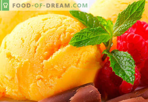 Homemade ice cream - the best recipes. How to quickly and tasty cook homemade ice cream.