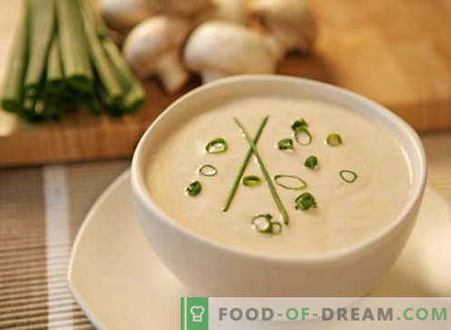 Cream soup - the best recipes. How to properly and cook cream soup.