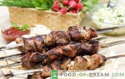 Marinade for kebab on kefir - the secret of perfect meat! A selection of the most successful marinades for kebab on kefir