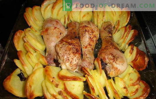 Chicken legs with potatoes in the oven - a wonderful dinner! Recipes for chicken legs with potatoes in the oven: 7 variants of one dish