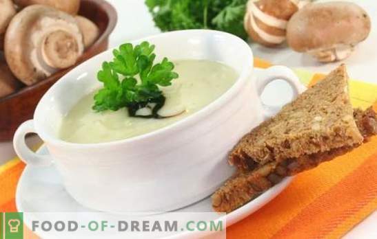 Mushroom soup with melted cheese is an undeservedly forgotten dish! Recipes best mushroom soups with melted cheese