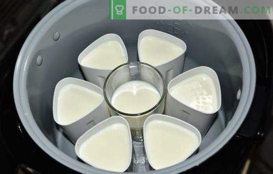 Yoghurt in a crock-pot in jars is a healthy tasty delicacy. Varieties of yogurt from the multicooker in jars