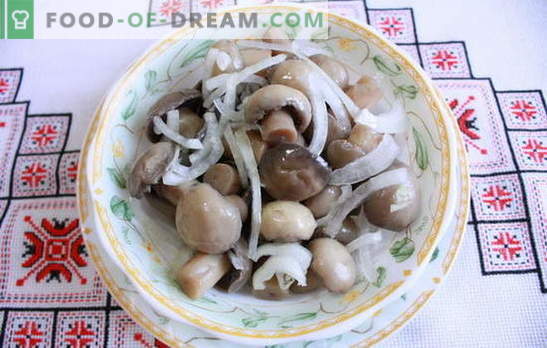 Marinated champignons at home - delicious mushrooms! How to pickle champignons at home: quick, tasty