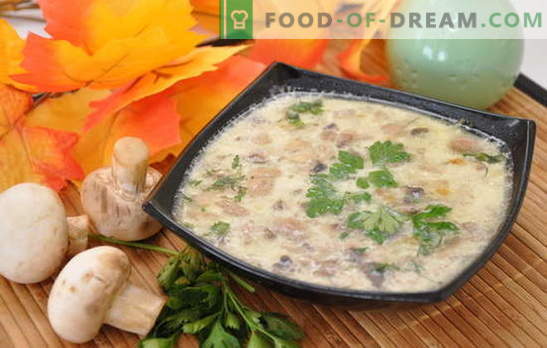 Extremely simple and uniquely tasty - mushrooms soup with potatoes. Selection of champignon soups with potatoes