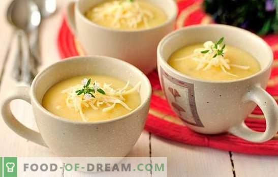 Potato soup: thick or thin? A selection of recipes of mashed potato soup: with beans, mushrooms, zucchini, shrimp