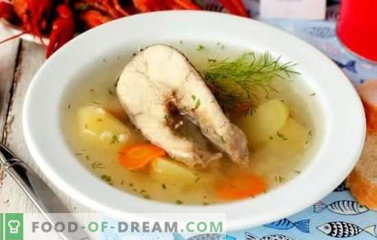 Pike Ear - Feel the Taste! Recipes rich soup of pike with vegetables, cereals, smoke, vodka, in the slow cooker