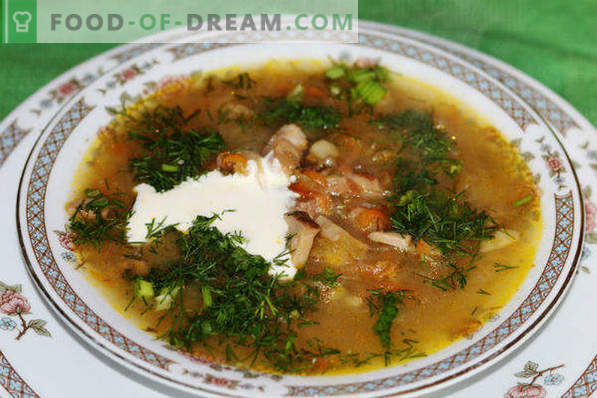 How to cook sauerkraut soup with beef, pork, chicken