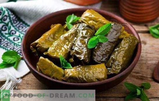 Dolma in the slow cooker - this is cabbage rolls! Recipes of different dolma in a slow cooker and not only from grape leaves