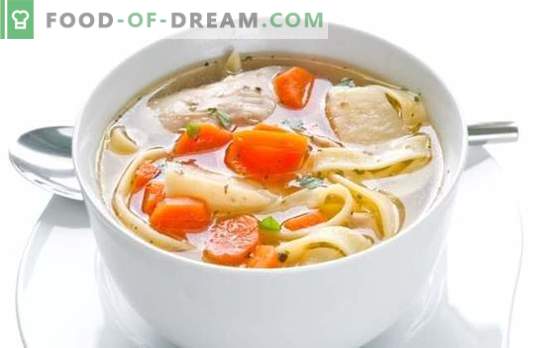 Chicken noodle soup - mother's soup. How to cook chicken soup with noodles, mushrooms, meatballs and vegetables
