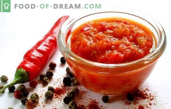 Adjika without tomatoes for the winter - an excellent sauce for thrill-seekers! What is the best way to cook adjika without tomatoes for the winter?