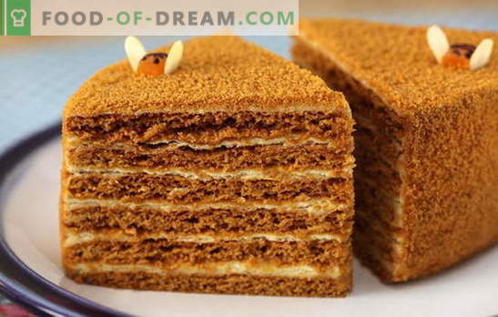 Honey cake with custard - tender! Simple and complex, with condensed milk and sour cream: honey cakes recipes with custard